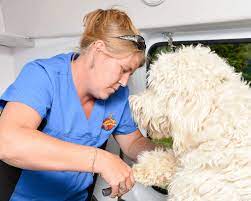 Aussie pet mobile currently has franchised over 330 territories in the united states and has sold master licenses in 10 additional countries worldwide. About Aussie Pet Mobile Louisville Ne