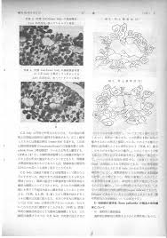 昭和35年5月1日