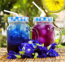 Nov 02, 2020 · blue tea, as the name suggests, is a beverage bearing a prominent blue colour, made from the flowers of the clitoria ternatea plant. Blue Butterfly Pea Flower Aka Clitoria Ternatea The Sipping Cottage