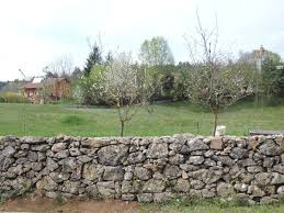 A stone wall doesn't have to be tall or mortared. Dry Stone Walls Pivka Interreg