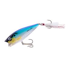 Image result for tbn:HNtrRnQBmFuaxM::www.bluechopsticks.com/img_large/800CC_0805S1015.jpg