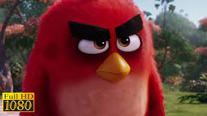 Angry Birds Movie 2016 Red Vs Billy Fight 1080p Full Hd Angry Birds Angry Birds Movie Red Angry Bird