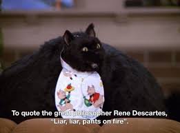 pin on salem mood