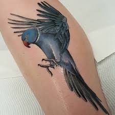 Some believe, in fact, that all art is mimicry, and the only reason we have diversity in music, acting, comedy, literature, or what have you is that people can only mimic imperfectly. 33 Adorable Bird Tattoo Designs With Meanings