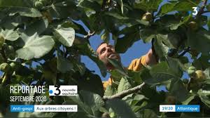 Site officiel de port atlantique la rochelle, 6ème grand port maritime français avec un trafic de près de 10 millions de tonnes par an. Aux Arbres Citoyens Reportage France 3 La Rochelle Youtube
