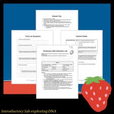 Answer key strawberry dna extraction lab worksheet answers. 15 Minute Strawberry Dna Extraction Lab By That Red Haired Science Teacher