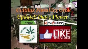 Cultilux Floraflex Grow Update Day 1 Flower Youtube