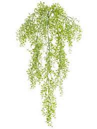 Ageomet 3pcs artificial hanging plants, 3.6ft fake hanging plant, fake ivy vine for wall house room indoor outdoor decoration (no baskets) 4.4 out of 5 stars. Outdoor Plastic Button Fern Hanging Bush 30 Long Hanging Plants Hanging Plants Indoor Artificial Plants Outdoor