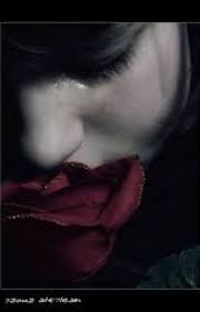 Mawar berduri the greatest indonesian love songs 2012, rio febrian's latest album this video is completely made with iphone. Gambar Mawar Hitam Berduri