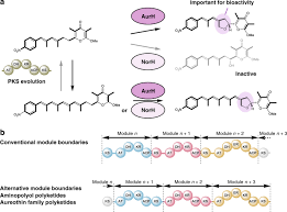 Contoh soal psikotes dan kunci jawaban terlengkap dan terbaru rekrutmen lowongan kerja bulan september 2020. Emulating Evolutionary Processes To Morph Aureothin Type Modular Polyketide Synthases And Associated Oxygenases Nature Communications