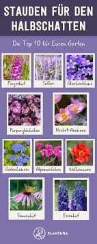 Stauden Fur Den Halbschatten Unsere Top 10 Die Lichtverhaltnisse In Eurem Beet Sind Nicht Ganz Eindeutig Diese Pflanzen Lieben Den Halbschatten Und Eignen Sich Perennials Shade Perennials Perennials Low Maintenance