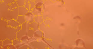 La vitamine b12 est essentielle au bon renouvellement cellulaire et à la fabrication des globules rouges. Vitamine B12 Role References Nutritionnelles Sources Apports