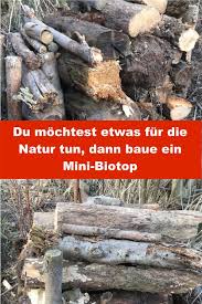 Mini Biotop Fur Insekten Kafer Und Andere Kleintiere Gartenbob De Der Garten Ratgeber Permakulturgarten Insektenhotel Naturgarten