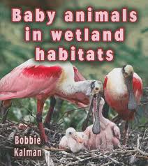 We did not find results for: Baby Animals In Wetland Habitats Habitats Of Baby Animals Paperback Kalman Bobbie 9780778777434 Amazon Com Books