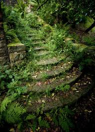 Overgrown Steps Rivington Lancashire Overgrown Nature