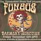 Fungus with Harmony Junction in Pittsburgh, PA (11/15/24)