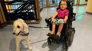 Boy who thrived despite rare condition dies at age 12