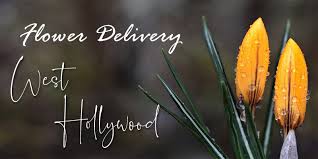 We are open and deliver flowers 7 days a week. The 10 Best Options For Flower Delivery In West Hollywood 2021