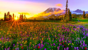 Resultat d'imatges de imagenes de primavera