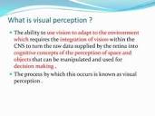 Visual perceptual | PPT