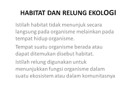 Ekosistem mempertahankan diri dengan siklus energi dan nutrisi yang diperoleh dari sumber eksternal. Tim Biologi Dasar Departemen Biologi Fst Ua Ppt Download