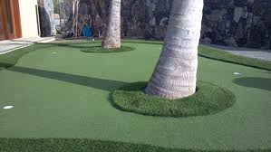 Synthetic turf has been in use since the early 60's when david chany, a dean at the n.c. Quality Artificial Grass Turf In Hawaii