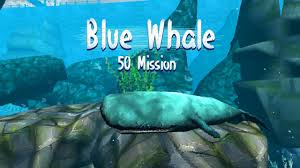 Синий кит, siniy kit) also blue whale challenge, is an internet . Blue Whale Game 50 Mission For Android Apk Download