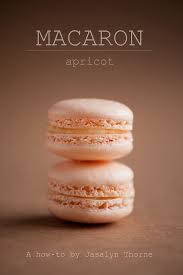 How To Make Macarons French Macaron 101 Macaron Recipe Desserts Filling Recipes