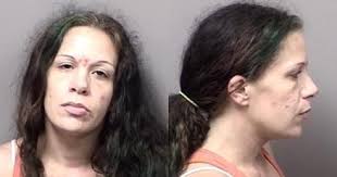 Citrus County Mugshots Sept. 26, 2017