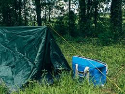 Opening at 10:00 am tomorrow. The 30 Best Campgrounds Near Monroe Louisiana