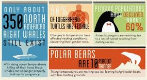 This Infographic Describes How Aquatic Animals Will Be Affected By Oceanic Climate Changeh Animal Infographic Endangered Animals Infographic Endangered Animals