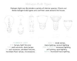 Light Bulb Types Chart Golegilo Club