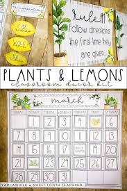 Plants Lemon Theme Classroom Decor Kit Classroom Themes Elementary Classroom Decor Plants Classroom