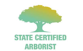 Check spelling or type a new query. Certified Arborist Tree Trimming Tree Removals Tree Care Pros