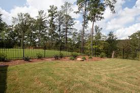 We did not find results for: Sunny Privacy Garden With Southern Living Plants Deeply Southern Home