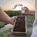 ARENA Speciality Coffee - آرينا للقهوة المختصة‎ | ‎At ARENA we're ...