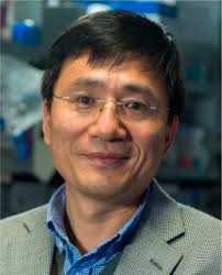 Bismuth — The Magic Element