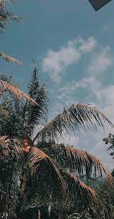  Wallpaper Pemandangan Fotografi Alam Ilustrasi Alam