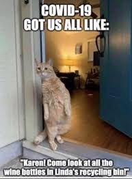 Pin By Janine Thill On Our Moment In 2020 Animal Memes Funny Pictures Funny Cat Memes