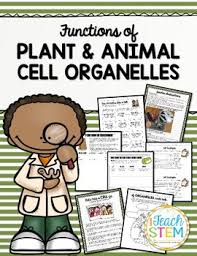 All animal cells and plant cells are eukaryotic cells (as opposed to the prokaryotic cells of animal cells are specialized. Cells Super Cell Project More Structures Functions Of Plant Animal Cells