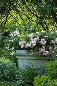 Http Beautifulgardendecors Blogspot Com Garden Urns Beautiful Gardens Ground Cover Roses