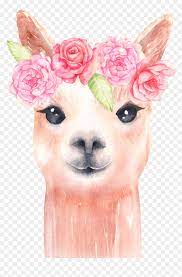 Maybe you would like to learn more about one of these? Alpaca And Flower Clipart Llama Clip Art Watercolor Transparent Llama Clipart Hd Png Download Vhv