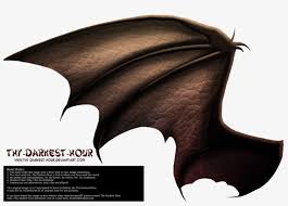 We did not find results for: More Like Dragon Wings 01 By Thy Darkest Hour Dragon Wings Side View Transparent Png 1024x684 Free Download On Nicepng