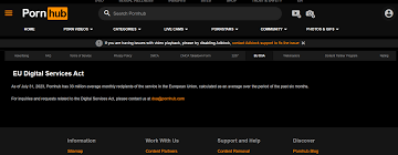 Aylo Asks Federal Judge for Default Judgment Against Piracy Site | AVN