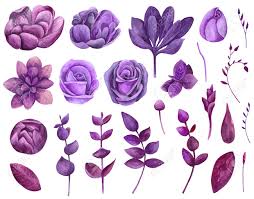45 images from collection of purple flowers clipart for your blog, websites or wherever you want for personal use. Watercolor Purple Flowers Set Clipart Floral Violet Collection Stock Photo Picture And Royalty Free Image Image 96670939