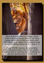 Still Roving About But Jehovah S Day Is On The Horizon Take In Knowledge Of God And Christ While There Is Still Tim Jehovah Bible Truth Jehovah S Witnesses