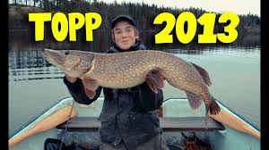 Gäddan är en av de viktigaste rovfiskarna för ekosystemet längs ostkusten och den fisk som ligger många sportfiskare allra varmast om hjärtat. Topp 5 Storsta Gaddorna 2013 Team Galant Youtube
