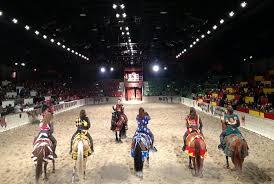 10 Things To Know Before Going To Medieval Times Chicago