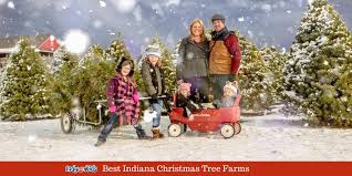 With more than 20 acres of trees to choose from, the farm recommends you bring a tarp to drag your tree with once you've cut it down. Best Indiana Christmas Tree Farms Near Indianapolis