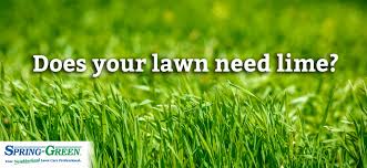 Your grass needs time to wake up from its winter slumber, especially if you you've taken care of the basics of spring lawn maintenance: Lime On Lawn Does Your Grass Need Lime Treatment